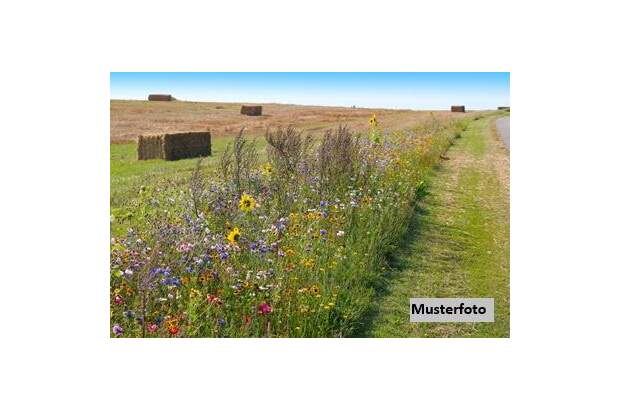 Lager kaufen in 2722 Muthmannsdorf (Bild 1)