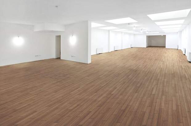 Gewerbeobjekt mieten in 1090 Wien (Bild 1)