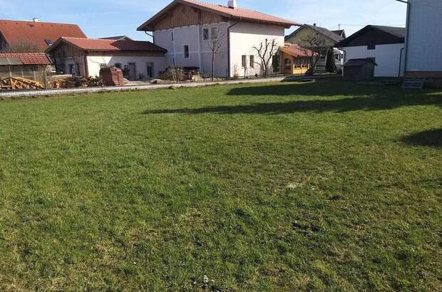 Grundstück kaufen in 5145 Neukirchen (Bild 1)