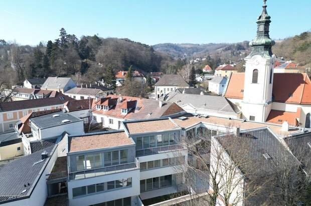 Haus mit Garten kaufen in 3400 Klosterneuburg (Bild 2)