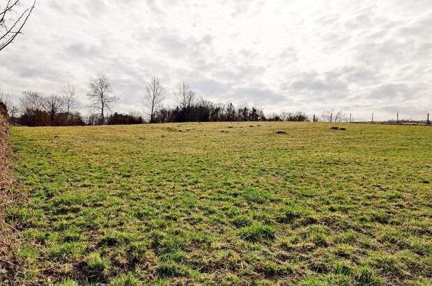 Grundstück kaufen in 8101 Gratkorn (Bild 5)