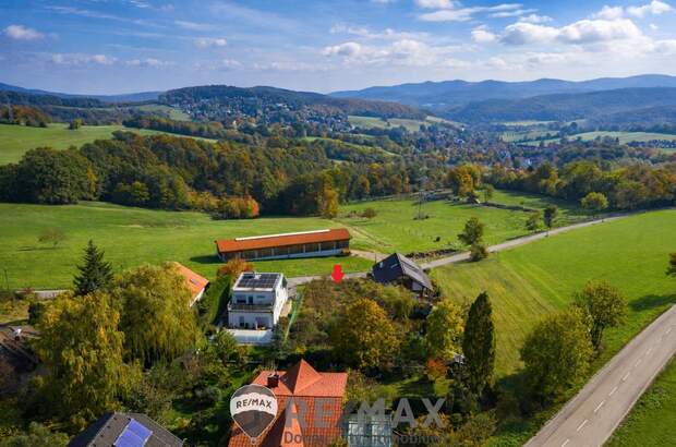 Grundstück kaufen in 2384 Breitenfurt (Bild 1)