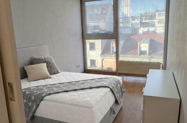 Wohnung mit Balkon mieten in 1220 Kaisermühlen (Bild 3)