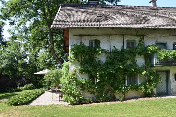 Grundstück kaufen in 4963 St. Peter (Bild 4)