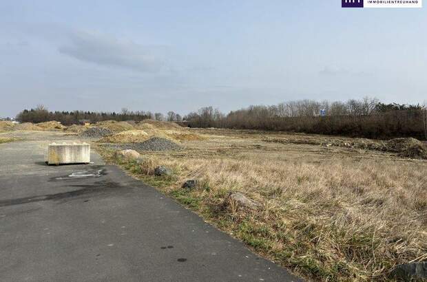 Grundstück kaufen in 8472 Vogau (Bild 3)