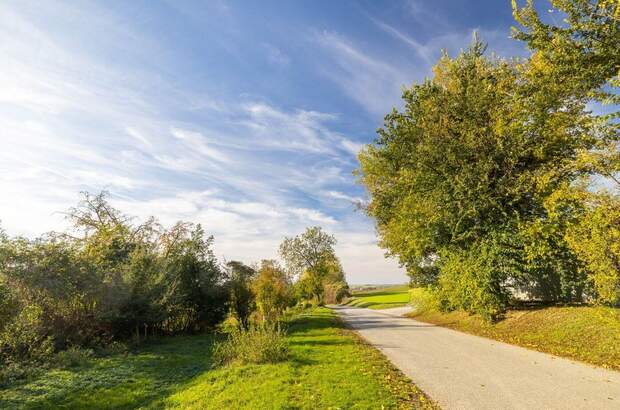 Gewerbeobjekt kaufen in 2431 Enzersdorf (Bild 5)