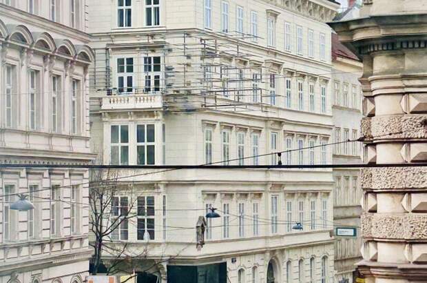 Altbauwohnung mieten in 1090 Wien (Bild 2)