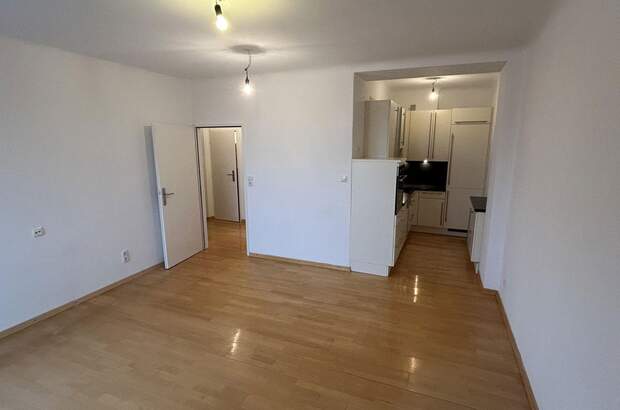 Terrassenwohnung mieten in 2340 Mödling (Bild 4)