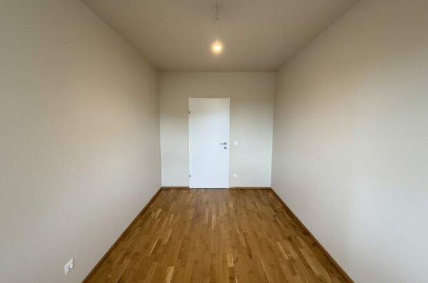 Terrassenwohnung mieten in 3140 Pottenbrunn (Bild 2)
