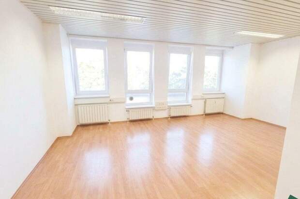 Gewerbeobjekt mieten in 1110 Wien (Bild 1)