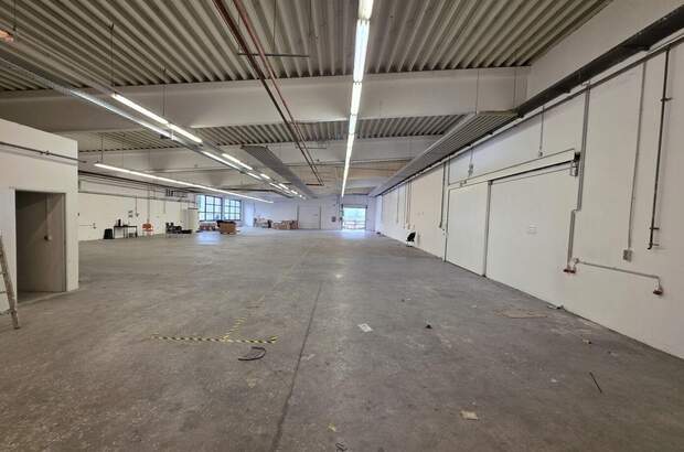 Gewerbeobjekt mieten in 2753 Markt Piesting (Bild 1)