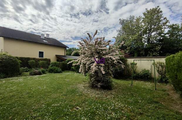 Haus mit Garten kaufen in 2100 Korneuburg