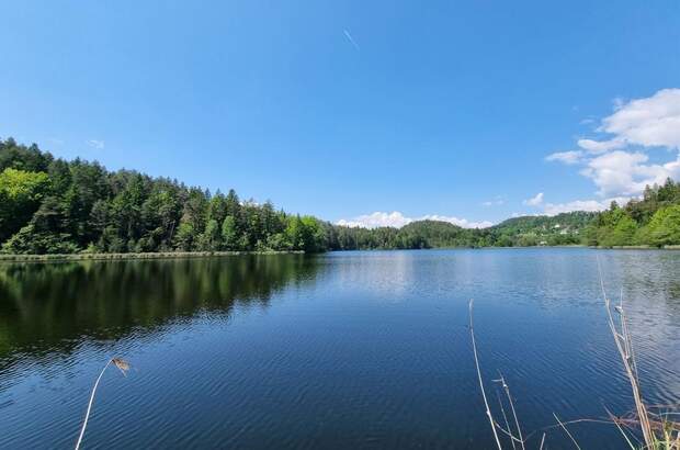 Einfamilienhaus kaufen in 9220 Velden (Bild 2)