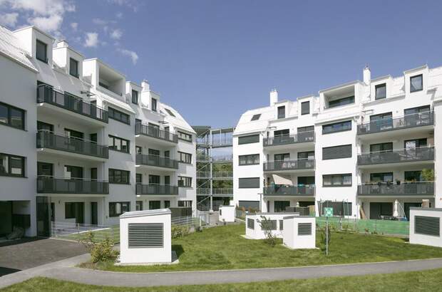 Terrassenwohnung mieten in 2700 Wr. Neustadt (Bild 2)