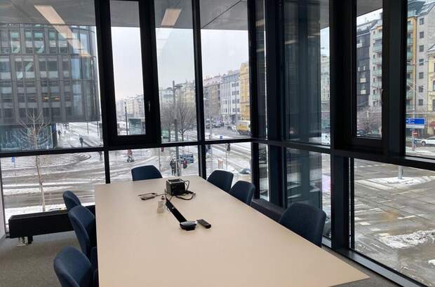 Gewerbeobjekt mieten in 1100 Wien (Bild 3)