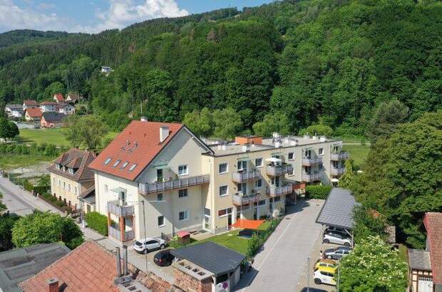 Terrassenwohnung mieten in 2840 Grimmenstein (Bild 1)