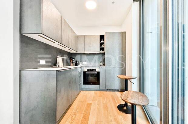 Terrassenwohnung kaufen in 1100 Wien (Bild 3)