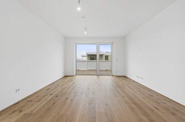 Terrassenwohnung kaufen in 2540 Bad Vöslau (Bild 4)