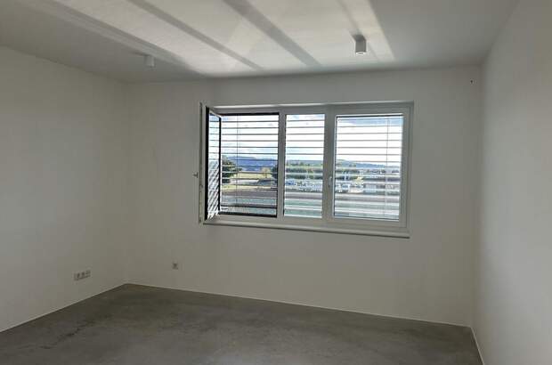 Gewerbeobjekt mieten in 4072 Alkoven (Bild 2)