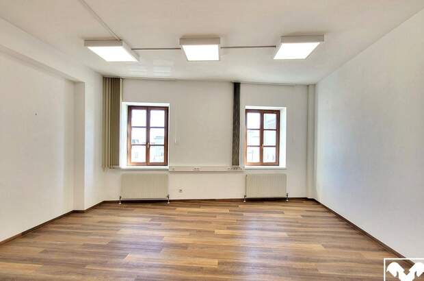 Gewerbeobjekt mieten in 4470 Enns (Bild 1)