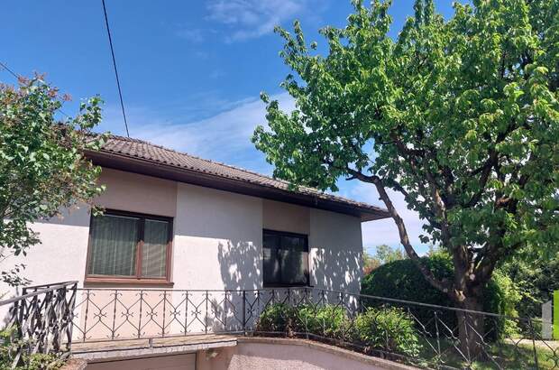 Einfamilienhaus kaufen in 4490 St. Florian (Bild 4)
