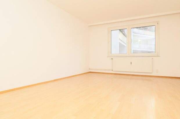 Terrassenwohnung mieten in 1080 Wien (Bild 3)