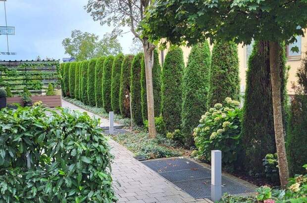 Wohnung mieten in 5026 Salzburg (Bild 3)