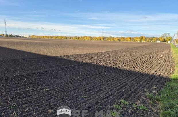 Grundstück kaufen in 1220 Wien (Bild 2)