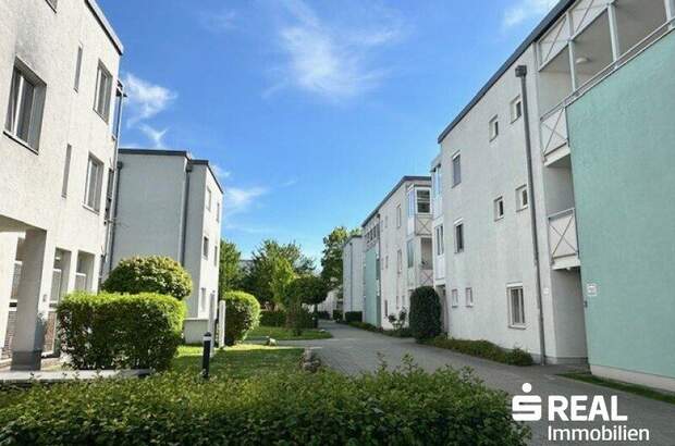 Terrassenwohnung mieten in 4040 Linz (Bild 2)