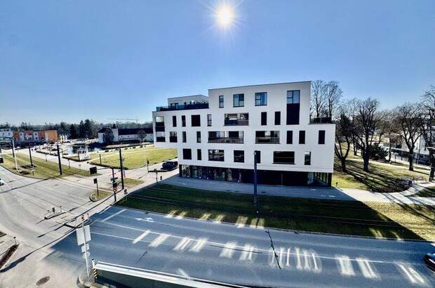 Terrassenwohnung kaufen in 4050 Traun (Bild 4)