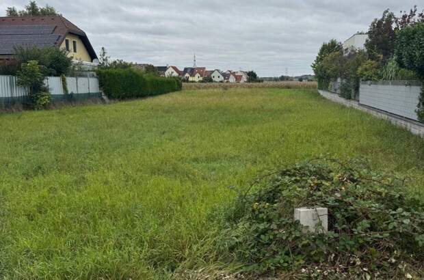 Haus kaufen in 2100 Korneuburg (Bild 2)