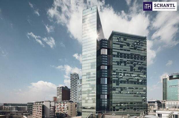 Büro / Praxis mieten in 1100 Wien (Bild 3)