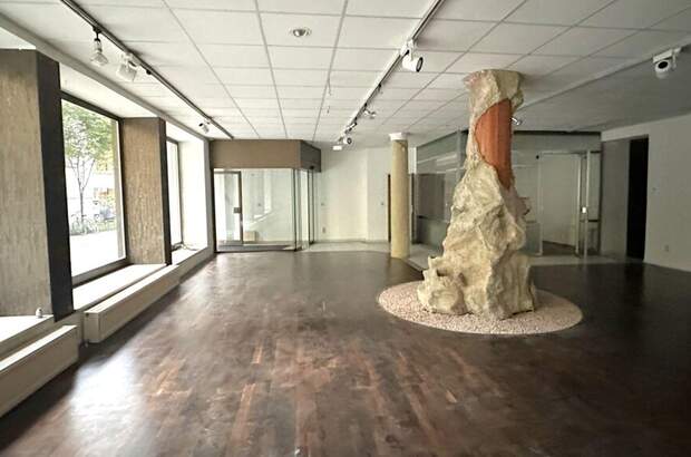 Gewerbeobjekt mieten in 1060 Wien (Bild 3)