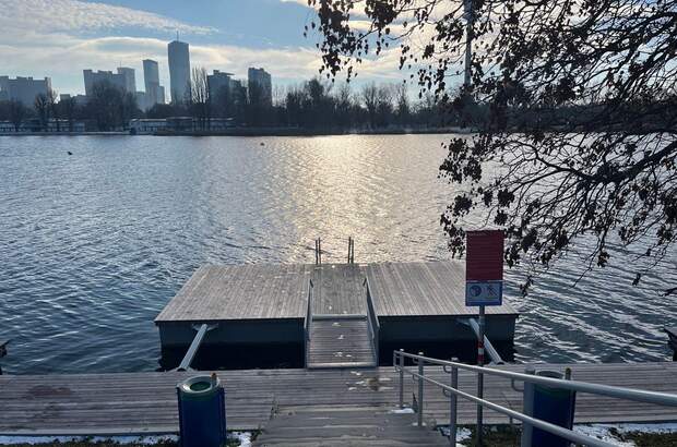 Haus mit Garten mieten in 1220 Wien (Bild 3)
