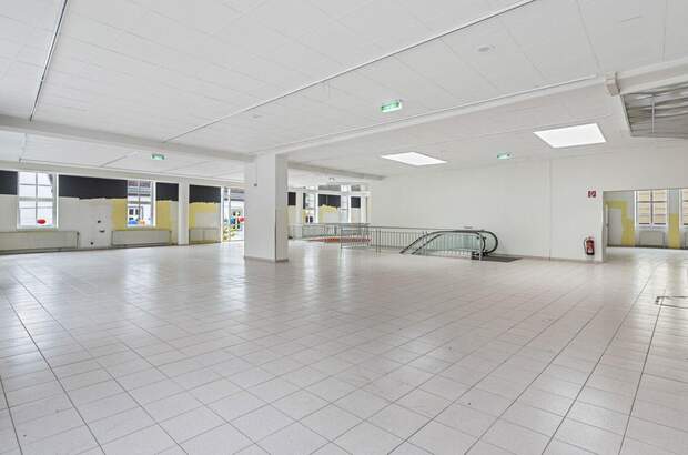 Gewerbeobjekt mieten in 2700 Wiener Neustadt (Bild 5)