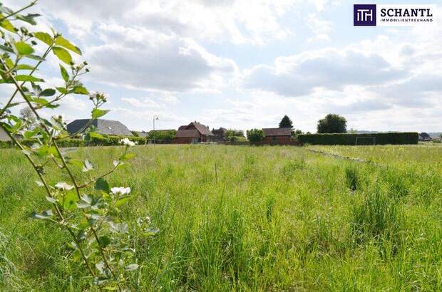 Grundstück kaufen in 8430 Leibnitz (Bild 1)