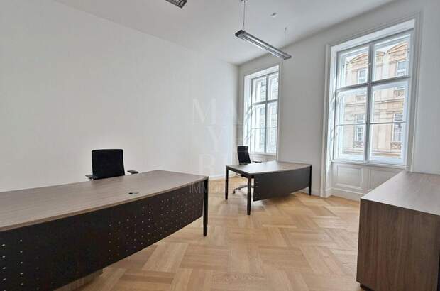 Gewerbeobjekt mieten in 1010 Wien (Bild 1)