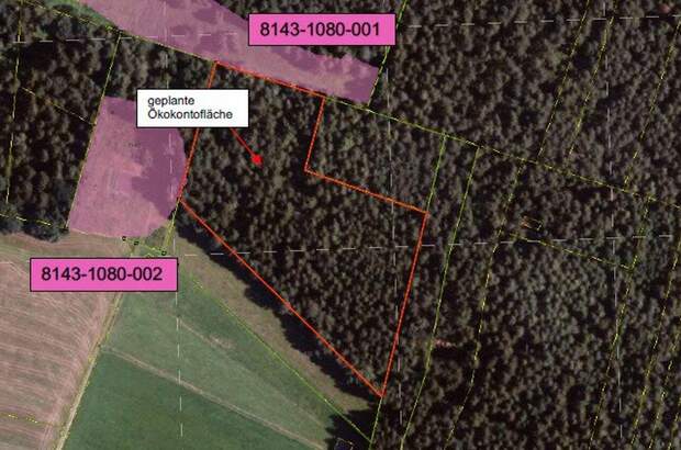 Immobilie kaufen in 83317 Teisendorf (Bild 3)