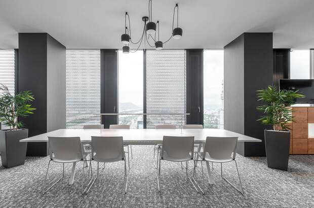 Gewerbeobjekt mieten in 1220 Wien (Bild 5)