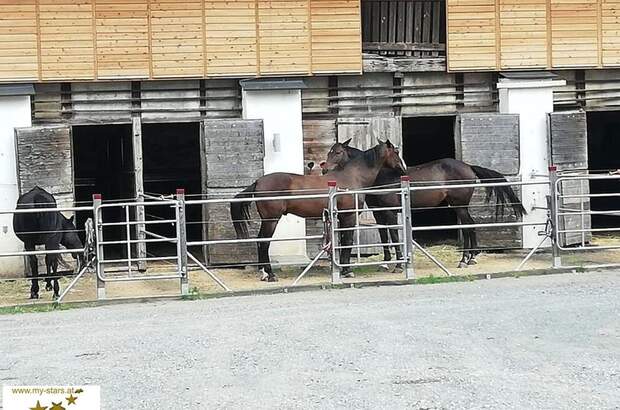 Immobilie mieten in 8732 Seckau (Bild 2)