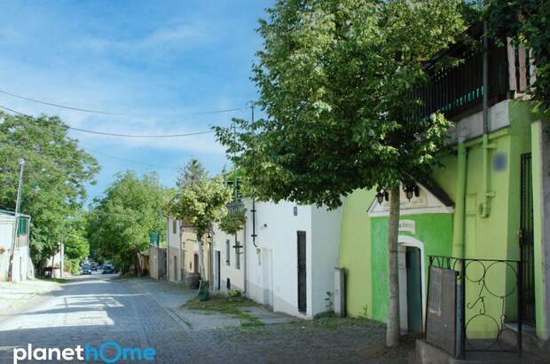 Grundstück kaufen in 2102 Hagenbrunn (Bild 4)