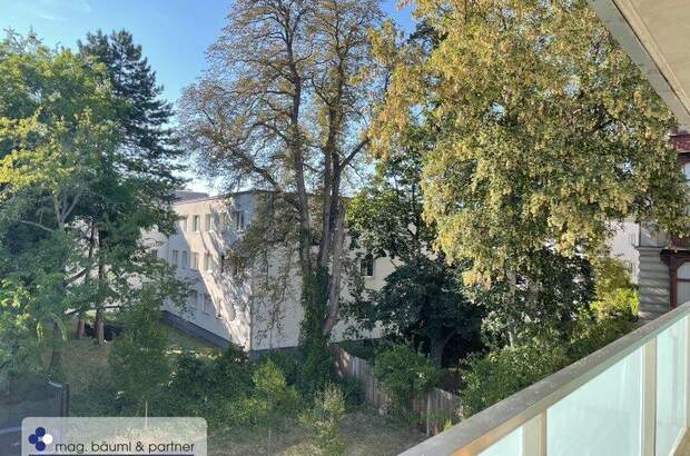 Terrassenwohnung mieten in 1130 Wien (Bild 4)