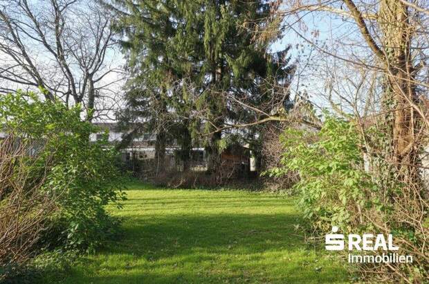 Grundstück kaufen in 4050 Traun (Bild 1)