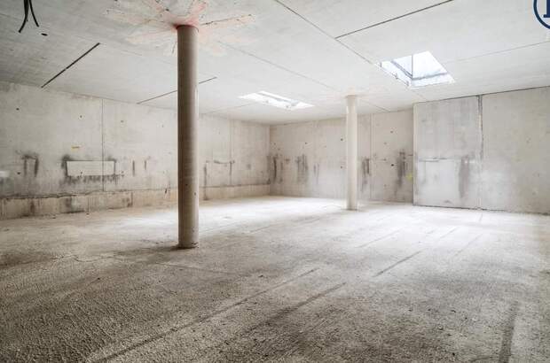 Bürogebäude mieten in 1220 Wien (Bild 2)