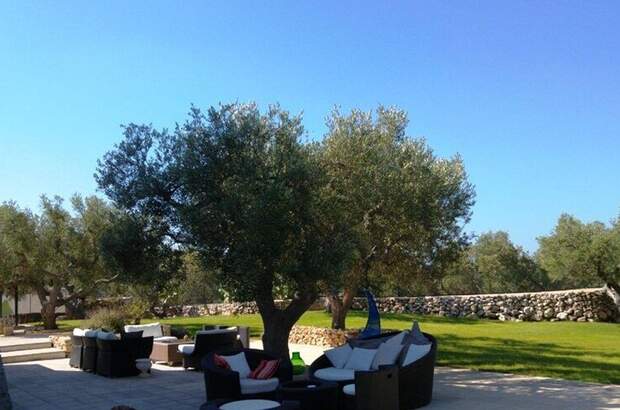 Haus mit Garten kaufen in 73040 Santa Maria di Leuca (Bild 2)