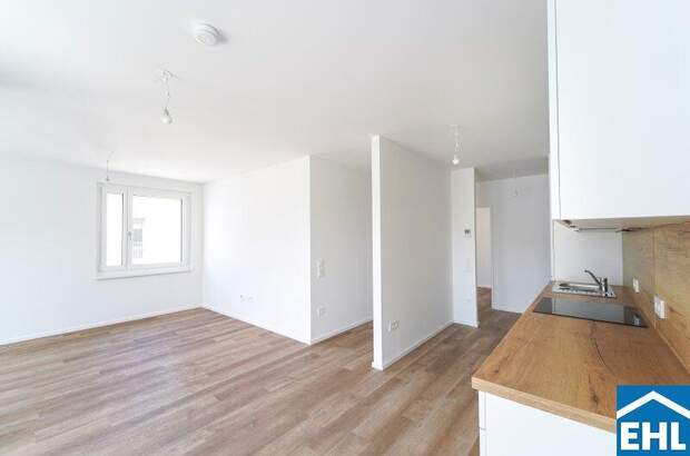 Terrassenwohnung mieten in 3451 Michelhausen (Bild 4)