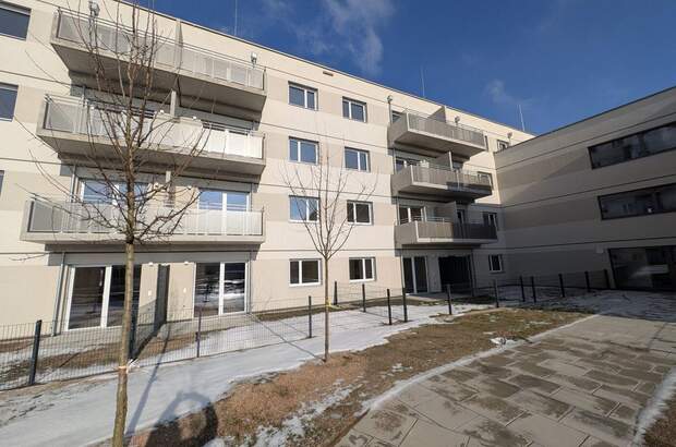 Wohnung mieten in 1220 Wien (Bild 3)