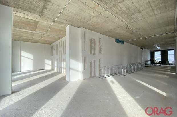 Gewerbeobjekt mieten in 4020 Linz (Bild 5)