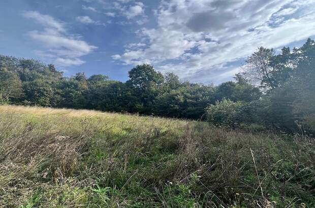 Grundstück kaufen in 8410 Allerheiligen (Bild 4)