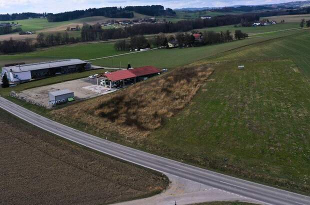 Gewerbeobjekt kaufen in 4692 Oberau (Bild 4)